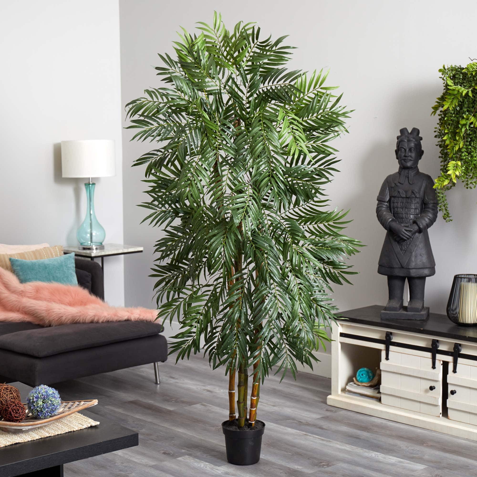 6ft. Potted Bella Palm Tree